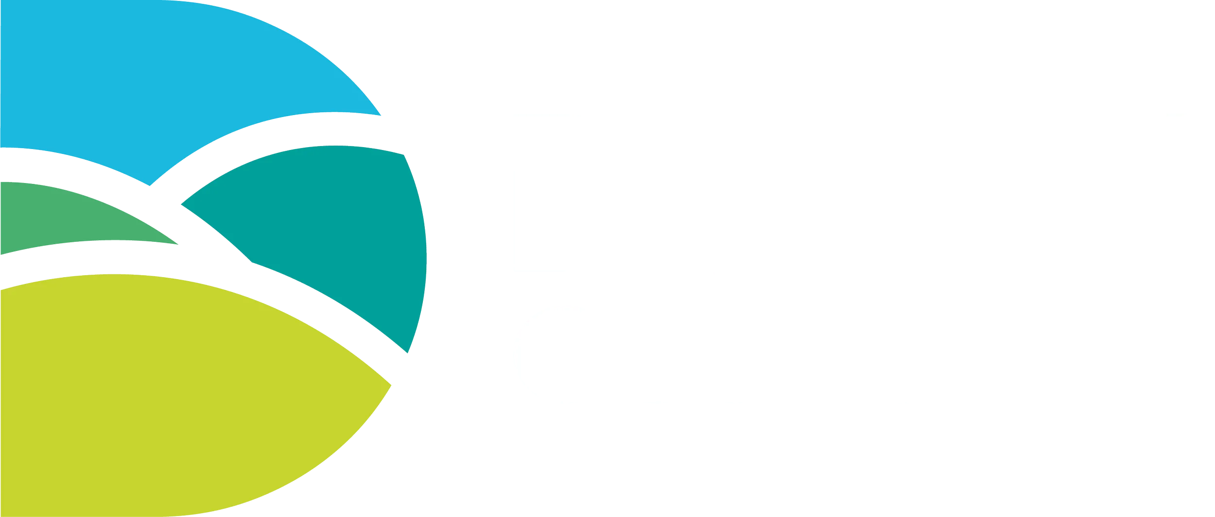 Dorset Council